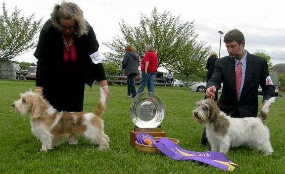 Bru wins BOS in 2005