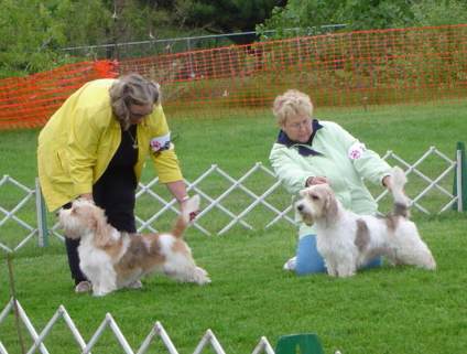 Bru with son Zouk in the ring together