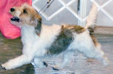 Cady flies across the floor at National