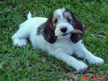 A young Cady playing in the yard