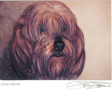 Portrait of Goldo by Stella Stevens
