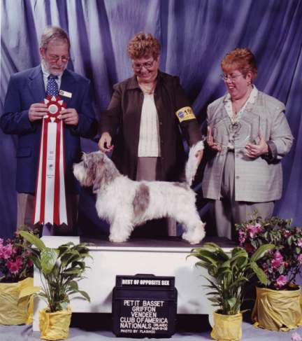 Odie wins Best Opposite at 2002 Nt'l Specialty