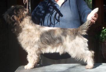 Roc practicing his show skills