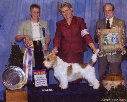 Zouk takes Best in Specialty Show