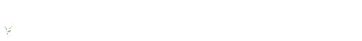 theblackcat