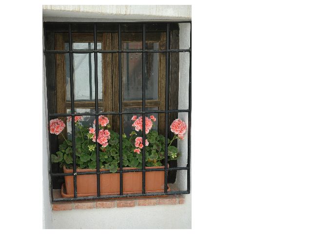 The windows of the village houses overflow with flowers
