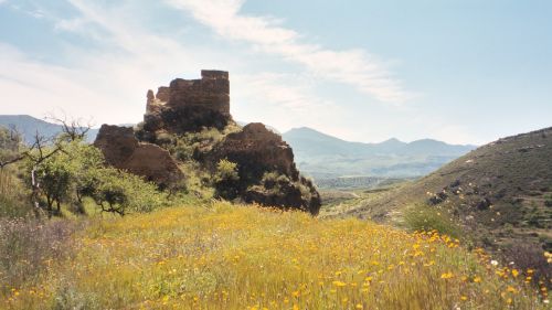 In Spring the Valley is filled with flowers and the heavenly scent of orange blossom