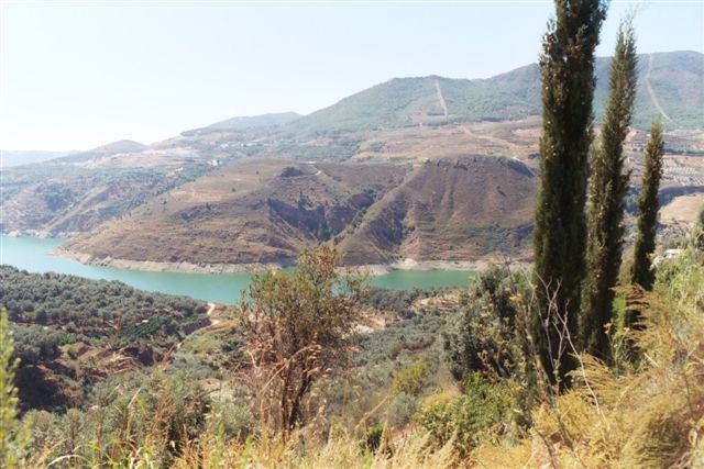 The Embalse de Beznar - a deep turquoise lake at the heart of the Lecrin Valley - filled with monstrous carp.