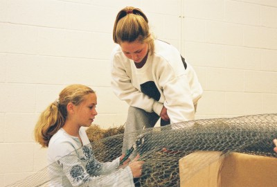 Two students work during their study hall in the new large animal room.