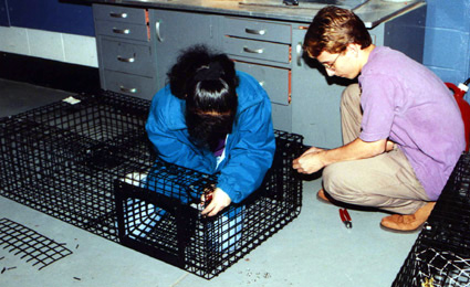 Two students work together to complete their lobster pot