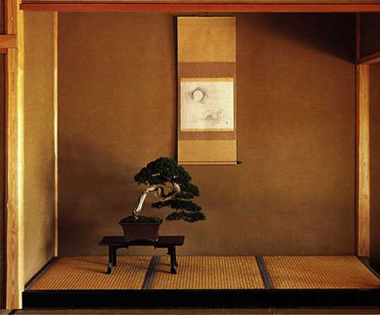 Go to Ledanta Bonsai Nursery Home Page