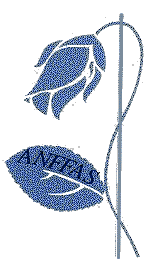 anftrsp5.gif (7172 byte)