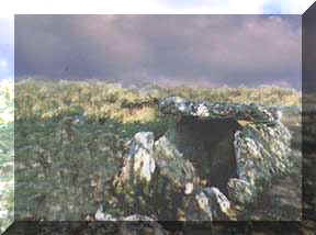 dolme6.jpg (17268 byte)