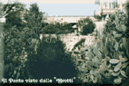 grott3_m.gif (7087 byte)