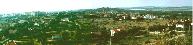 termiti1.jpg (24745 byte)