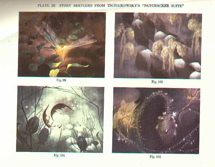 colour plate2