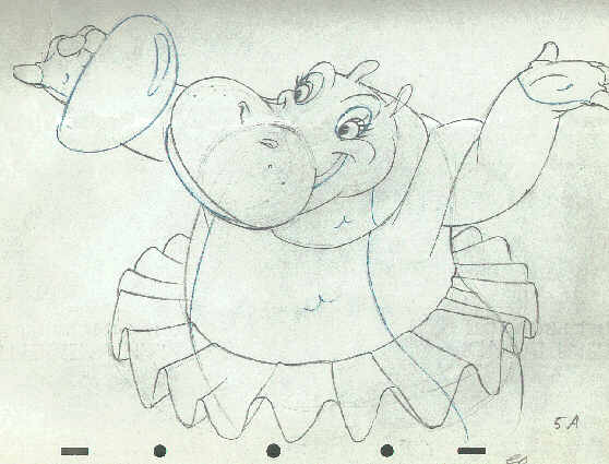 hippo