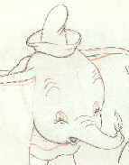 dumbo