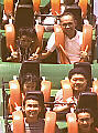 Viper Ride