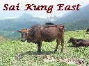 Sai Kung East