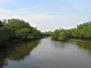 102-0241_IMG.jpg