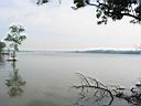 102-0251_IMG.jpg