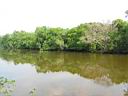 102-0272_IMG.jpg