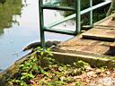 103-0304_IMG.jpg