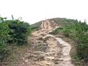 110-1021_IMG.jpg