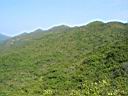 110-1074_IMG.jpg