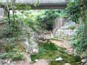 111-1106_IMG.jpg