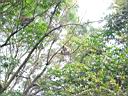 111-1159_IMG.jpg