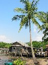 160-6060_IMG.jpg
