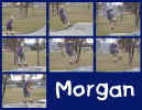 morgan.jpg (124647 bytes)