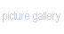 picture gallery