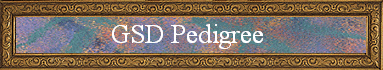 GSD Pedigree