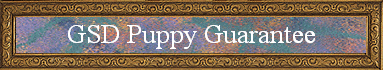 GSD Puppy Guarantee