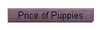 Price of Puppies
