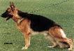 Small picture of SG Eaugoreck du Val D'Anzin
