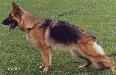 Small picture of  Tanny von Fidelius