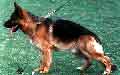 Small picture of V Tacko von der Wienerau
