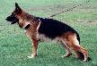 Small picture of V Pia von der Zenteiche