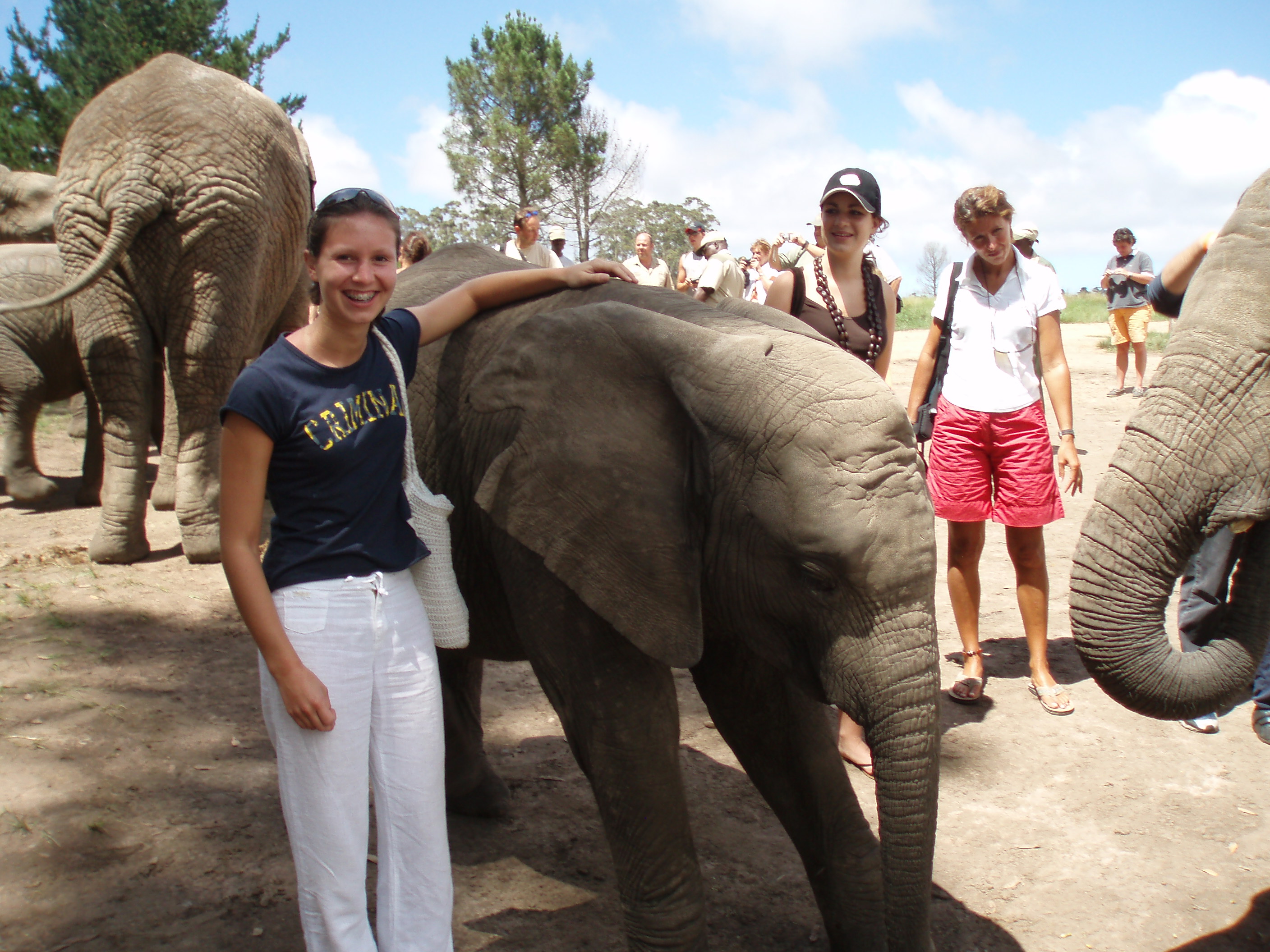 Elephant and I