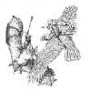 Dagda Mor fights Allanon