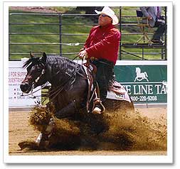  Hollywoods Sire: DUNNIT IN HOLLYWOOD
