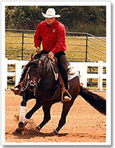 Hollywoods Sire DUNNIT IN HOLLYWOOD
