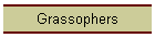 Grassophers