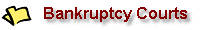US Bankruptcy Courts