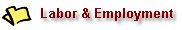 Labor & Employment Law