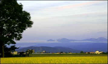 14.JPG